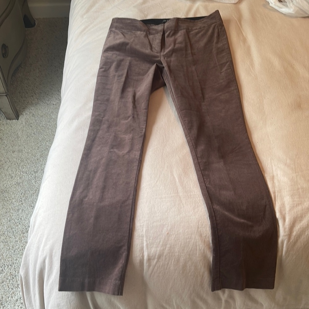 Loft velvet brown 6P Marisa Skinny Pant